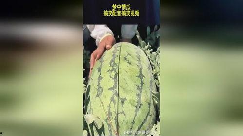吃瓜清脆配音视频大全免费观看,带你领略声优魅力 第2张 吃瓜清脆配音视频大全免费观看,带你领略声优魅力 第2张